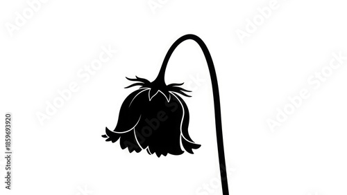 A single black and white illustration of a flower on a white background