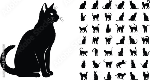 Cat silhouette collection, feline poses, animal behavior reference, pet posture grid, black cat art, walking, sitting, stretching, playing, standing