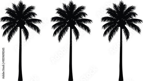 Palm Tree Silhouette Collection with Tropical Coconut Palms for Summer Beach, Island Landscape and Exotic Nature DesignWeb