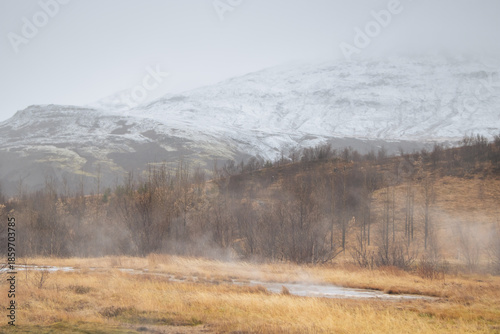 Atmospheric Icelandic landscape featuring ethereal mist rising from geothermal ground.