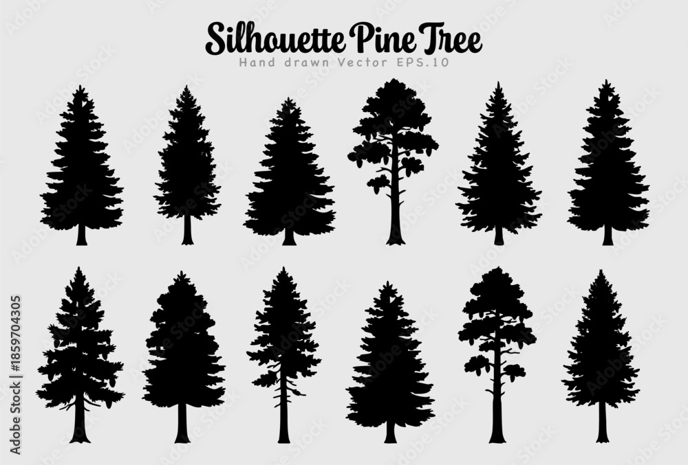 Obraz premium Silhouette Pine Tree Set Bundle Conifer Forest Elements.