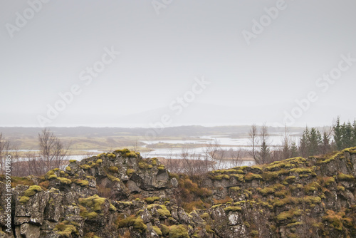 Rugged tectonic landscape of Thingvellir National Park, Iceland, featuring moss-covered basalt rock formations in the foreground.