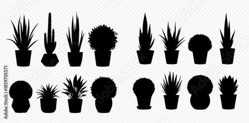 Collection of various potted houseplant silhouettes, including succulents, cacti, and other decorative indoor plants, isolated on a transparent background.