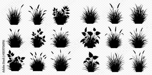 Set of various black grass and plant silhouettes on a transparent background.