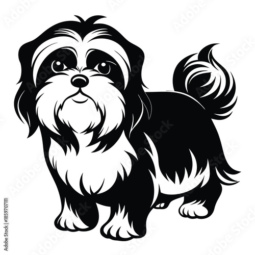 shih tzu line art silhouette vector illustration