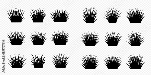 Set of black grass silhouettes on transparent background, various shapes and sizes for design elements.