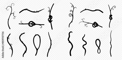 Set of hand-drawn doodle vines, branches, and plant elements in various shapes and forms.
