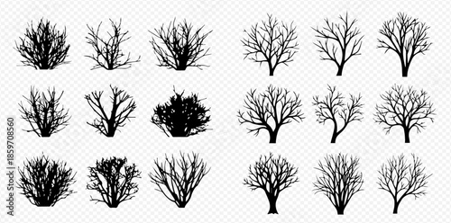 Set of bare trees and bushes silhouettes, black branches without leaves, natural elements for design.