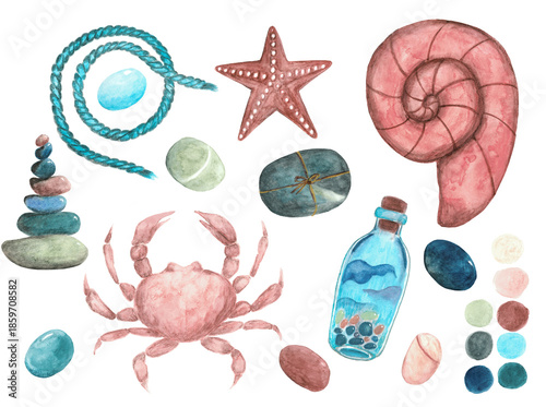 Hand-drawn watercolor coastal clipart set featuring seashells, crab, sea stones, and bottle in a muted nordic palette.  Transparent background. Isolated nautical elements.