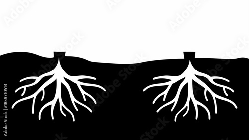 Two identical plants are shown in a split black and white silhouette, revealing their extensive root systems beneath the surface.