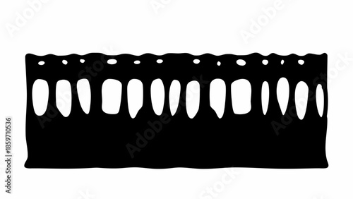 A decorative black border featuring a row of stylized white oval shapes resembling teeth or abstract architectural elements.