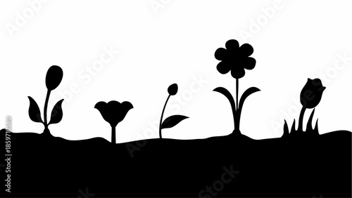 A chronological progression of plant growth, from a small bud to a fully bloomed flower, is depicted in silhouette.