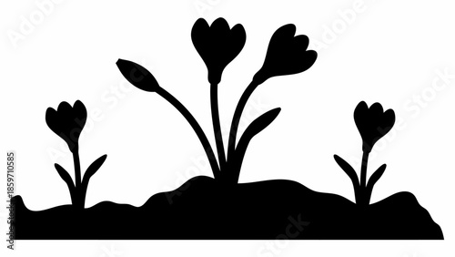 Three distinct flower plants in bloom are shown in silhouette, growing elegantly from the ground.