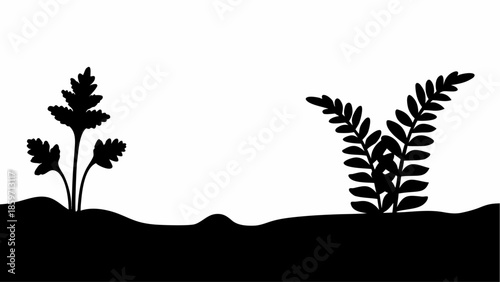 Two distinct plants with different foliage types are presented in silhouette, growing from the ground.