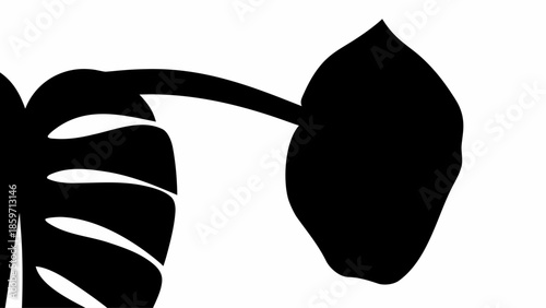 A striking close-up silhouette features a large, split tropical leaf with distinct fenestrations.