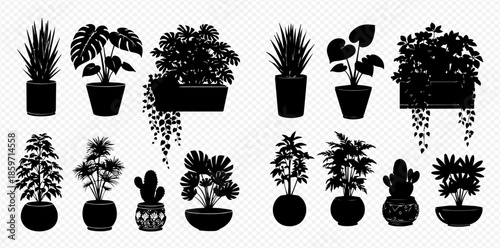 Set of various indoor house plants and potted flowers silhouettes for home decoration.