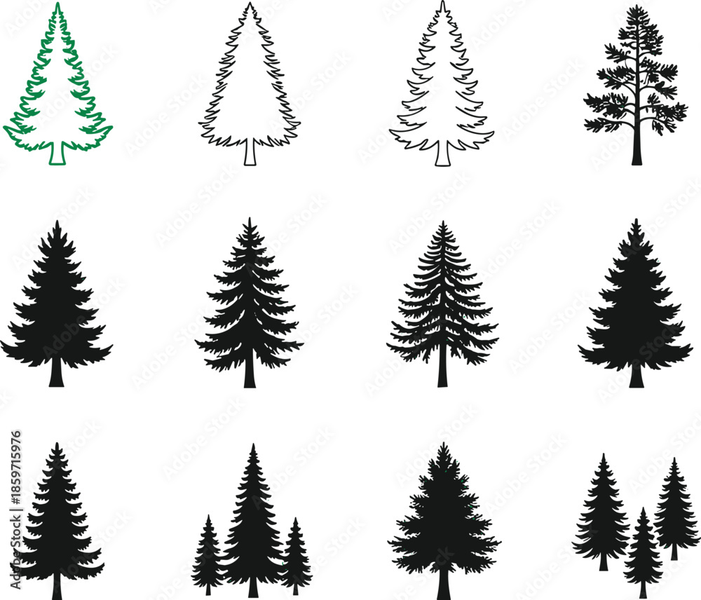 Obraz premium Collection of Evergreen Tree Silhouettes and Outlines on White Background Keywords: pine tree, fir tree, spruce tree, evergreen