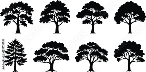 Eight Black Silhouette Trees with Dense Foliage on White Background dark