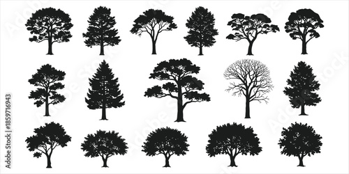 Fifteen black silhouettes of diverse trees with full foliage and bare branches on white Keywords: tree, trees, silhouette, black
