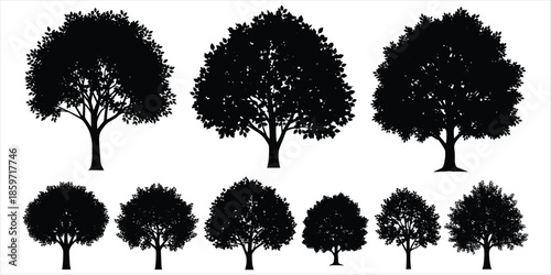 Nine black silhouettes of lush green trees with dense foliage on a white background Keywords: tree, trees, silhouette, black