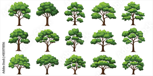 Set of fifteen diverse green deciduous trees with full leafy canopies vector illustration