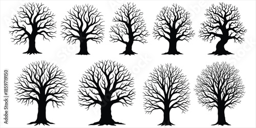 Ten black silhouettes of bare deciduous trees with intricate branches on white nature