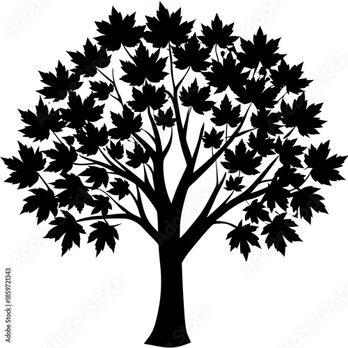 Single maple tree silhouette with thick trunk and rounded crown, clean flat vector