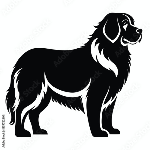 newfoundland line art silhouette vector illustration