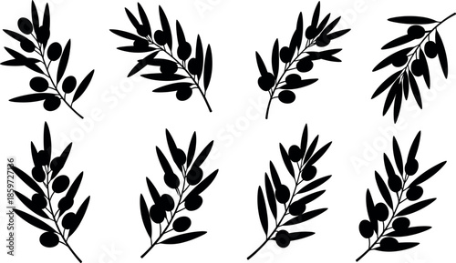 Black silhouette olive branch collection with leaves and olives isolated on white background for organic Mediterranean botanical vector design elements.
