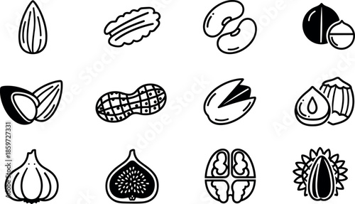 Collection of Minimalist Nut and Seed Vector Icons Including Almond Peanut Walnut Pistachio and Cashew for Healthy Food Ingredient Design