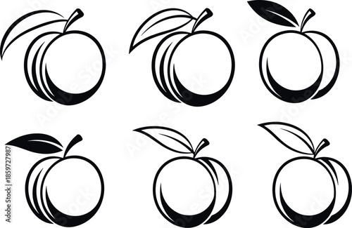 Set of minimalist peach and nectarine vector icons with elegant black line art style for healthy food branding and organic packaging