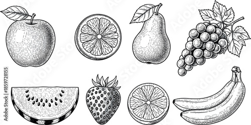 Vintage Hand Drawn Engraving Fruit Set Featuring Apple Orange Pear Grapes Watermelon Strawberry and Banana Vector Illustrations for Healthy Food Design