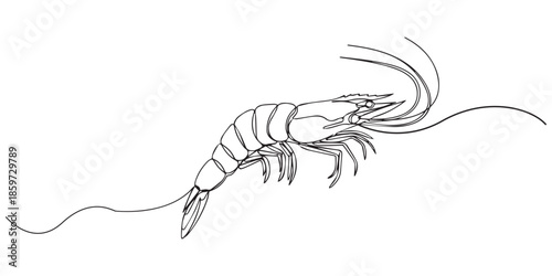 One continuous line drawing of fresh shrimp for seafood logo identity, Continuous one line drawing of shrimp. Isolated on white background vector illustration, Pro vector. One continuous line drawing