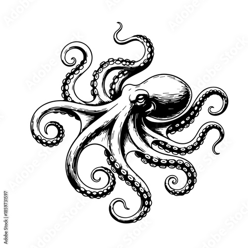 Intricate octopus illustration