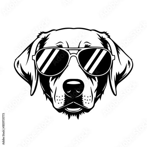 Cool dog with sunglasses