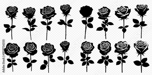 Set of black rose silhouettes, vector illustration of various blooming flowers with stems and leaves.