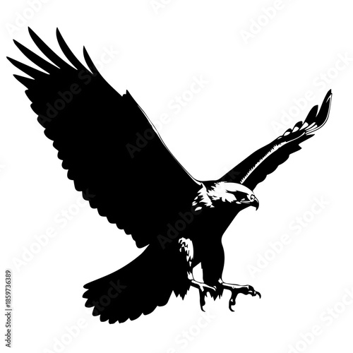 Soaring eagle in flight