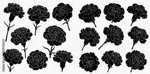 Collection of black silhouettes of carnation flowers in various views on a transparent background.