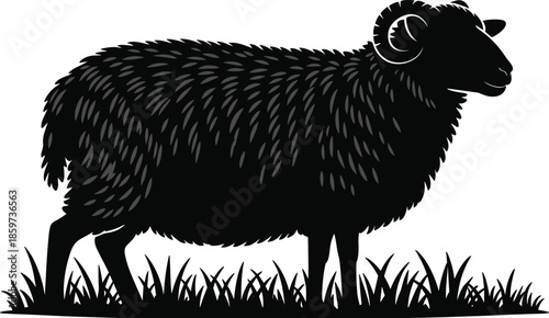 Black sheep silhouette standing on grass, farm animal profile view, livestock and agriculture concept, detailed vector illustration isolated on white background