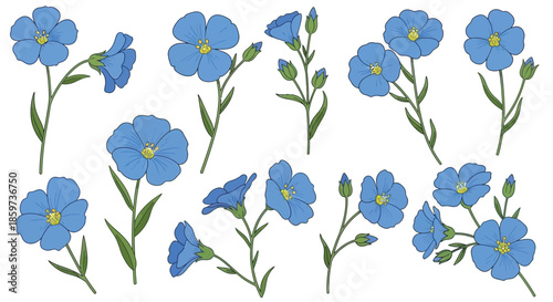 A collection of vibrant blue flax flowers with delicate green stems and buds