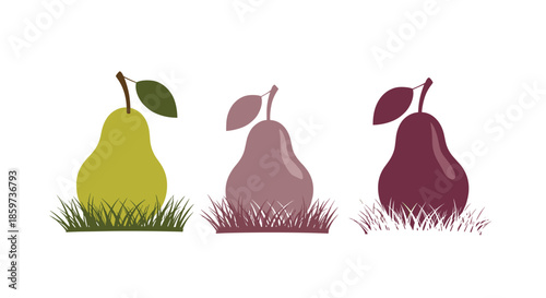 Three stylized pears in shades of green and purple sit nestled in patches of grass representing growth autumn harvest and fruit variations.