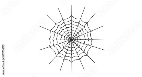 Intricate symmetrical spider web illustration in black and white features fine lines radiating from center for nature and spooky design elements.