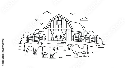 Detailed line art illustration of a farm scene featuring a large wooden barn with cows grazing in a fenced pasture and birds flying overhead.