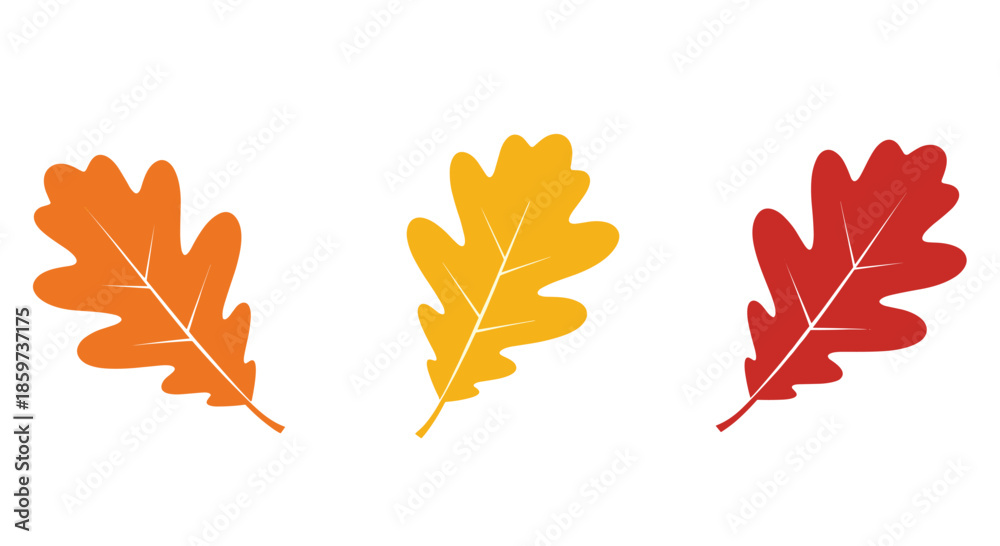 Fototapeta premium Set of three autumn oak leaves in vibrant shades of orange yellow and deep red arranged on a white background for seasonal fall decorations.