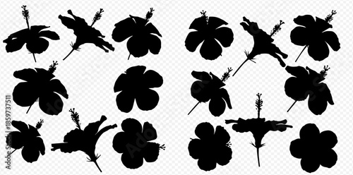 Collection of various hibiscus flower silhouettes in black on a white background.