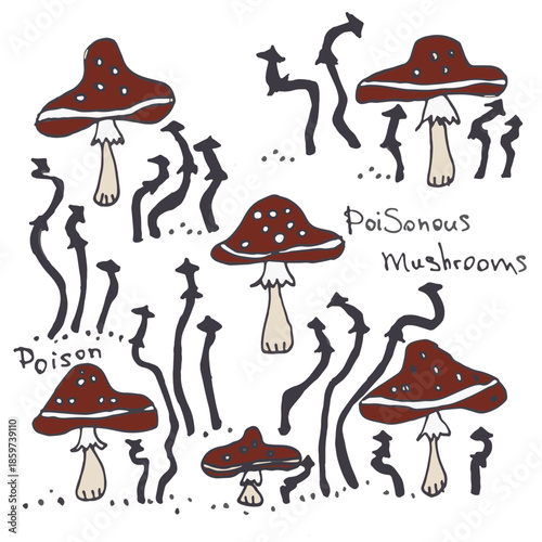 Mushrooms. Vector illustration.
It can be used for any print.