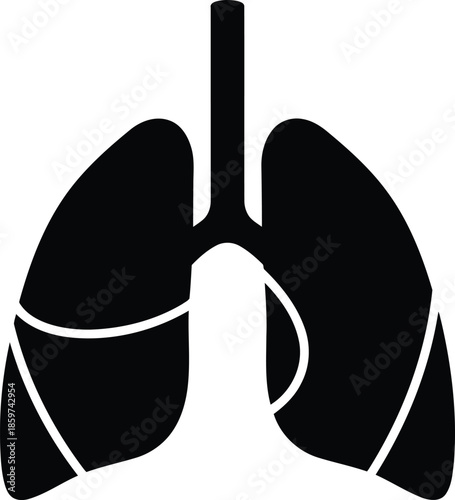 Vector Illustration of Human Lungs Anatomy Illustration: Respiratory System, Black Icon, Medical Diagram