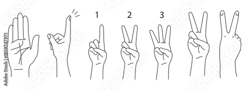 Illustrative depiction of various hand gestures and finger counting methods