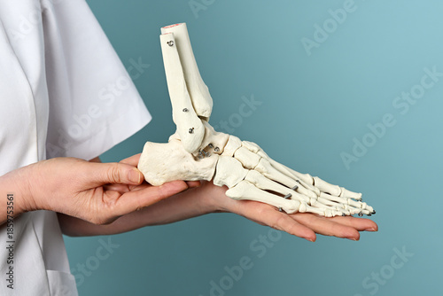Female doctor holding foot skeleton model