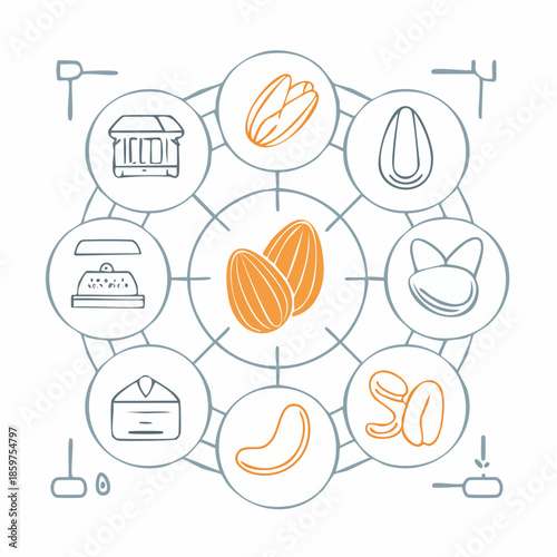 Cocoa beans and related products illustrated in a circular diagram showcasing various stages of chocolate production